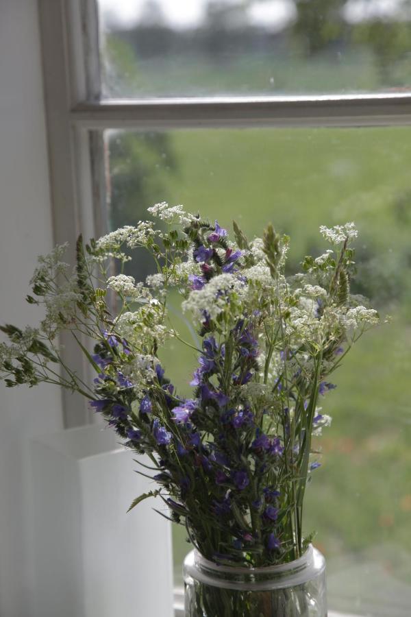 Stora Mellings Gard Bed and Breakfast Klintehamn Eksteriør billede